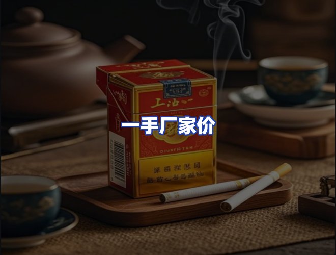 专业团队